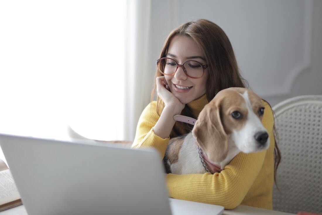 Woman sitting in front of a computer with a dog in her lap.